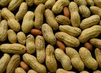 PRODUCTION DES CULTURES D’EXPORTATION DANS L’UEMOA : La quantité d’arachide s’élèverait à 3.674.650 tonnes