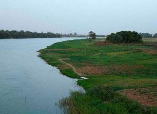 Aide au développement : L’Italie octroie 4,5 milliards FCFA pour l’essor des filières semencières dans le bassin du fleuve Sénégal