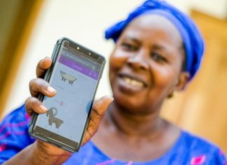 LES TOUS PREMIERS CONSEILS AGRICOLES DE LA PLATEFORME SAIDA-SN : Messages reçus par 84 000 producteurs sénégalais sur leurs téléphones