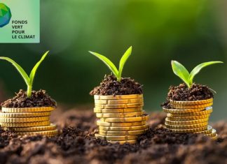 POUR ACCEDER AUX FINANCEMENTS DU FONDS VERT CLIMAT : La Bad lance un programme de formation sur l’élaboration de projets