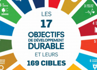 CHARTE DES DONNEES INCLUSIVES DES ODD : Le plan d’action du Sénégal en finalisation au mois d’août prochain