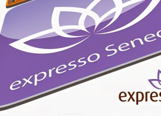 Infobip Propulsera la Communication Client De Expresso Senegal avec WhatsApp