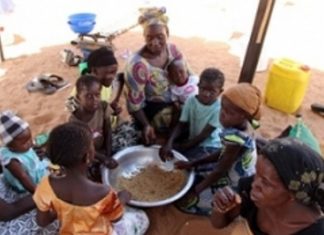 CRISES ALIMENTAIRES : La Fao préconise de mettre davantage l’accent sur l’anticipation