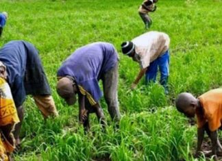INTRANTS AGRICOLES A FIN JUIN 2021 : Une bonne dynamique de mise en place et de cession notée