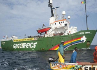 NOUVELLES USINES DE FARINE ET D’HUILE DE POISSON : Greenpeace Afrique et les pêcheurs du Sénégal condamnent leur implantation