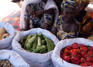 POUR STIMULER LES FILIERES DE PRODUITS AGRICOLES SPECIAUX : La Fao lance l’initiative « un pays-un produit prioritaire