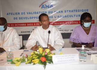 PLAN STRATEGIQUE DE DEVELOPPEMENT DE L’AQUACULTURE 2022-2026 : 35 milliards pour développer le secteur
