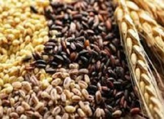 PRODUCTION MONDIALE DE CEREALES 2021 : Les prévisions s’établissent à 2 793 millions de tonnes