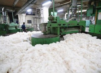 PRODUCTION INDUSTRIELLE DE COTON : Une bonification de 7,1% notée