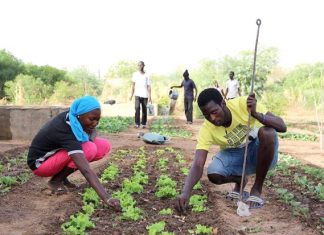 POUR DONNER LA PRIORITE AU SECTEUR AGRICOLE AU SENEGAL: Lancement d’un partenariat de 13 milliards de F CFA