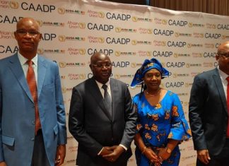 Plans nationaux d’investissements agricoles : Tenue d’une réunion de haut niveau du Nepad sur les expériences des pays à Dakar