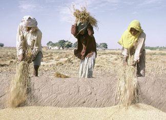 A CAUSE DU NIVEAU RECORD DES PRIX ALIMENTAIRES SELON LA BANQUE MONDIALE : « Plusieurs millions de personnes supplémentaires plongées dans l’extrême pauvreté »