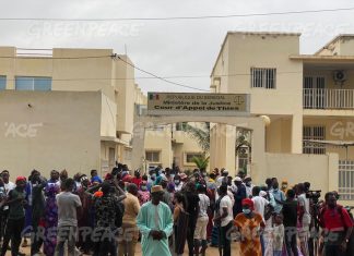 USINE DE FARINE DE POISSON SELON GREENPEACE AFRIQUE : « Elle sape la sécurité alimentaire de plusieurs millions de personnes »