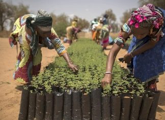 POUR RENFORCER LES CAPACITES D’ADAPTATION DES COMMUNAUTES AU CHANGEMENT CLIMATIQUE : Le Ministère de l’Environnement, l’Ue et la FAO lancent le projet RIPOSTES/ « Dooleel Aalam »