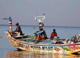 Journée mondiale de la pêche : Les pêcheurs s’unissent pour lutter contre l’industrie destructrice de la farine de poisson