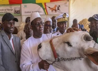 Journée de l’élevage : Macky Sall annonce un programme de protection du tapis herbacé