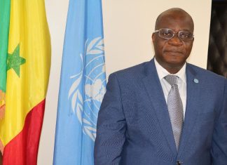 Transformer les systèmes agroalimentaires au Sénégal