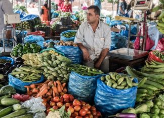 PRODUITS ALIMENTAIRES : Poursuite de la baisse mondiale des prix en janvier d’après la FAO