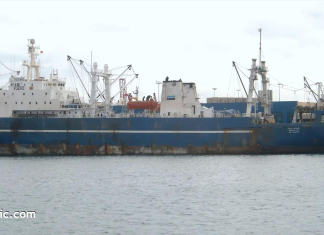 Présence suspecte d’un bateau-usine Russe dans les eaux sénégalaises : Greenpeace Afrique alerte et demande aux autorités de faire la lumière