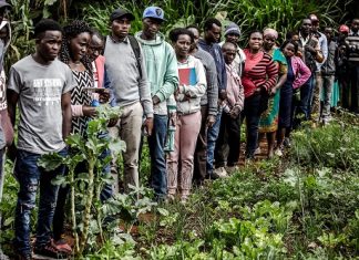 EMPLOI DES JEUNES DANS LES SYSTEMES AGROALIMENTAIRES EN AFRIQUE : Des mesures concrètes attendues par la FAO à la réunion de Dakar du 7 au 9 mars 2023