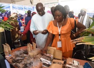 PAPE SAGNA MBAYE, MINISTRE DE LA PECHE : « Le devenir de la pêche s’articule autour de l’aquaculture »