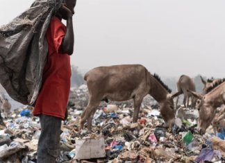 DECHETS RECYCLES DANS LE MONDE SELON LA BANQUE MONDIALE : « 50 % finissent dans des décharges non gérées ou dans l’environnement »
