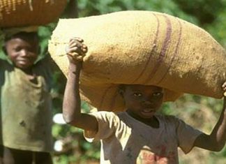 Journée mondiale contre le travail des enfants 2023 : 4 millions de filles et de garçons dans le monde travaillent dans le secteur l’agriculture