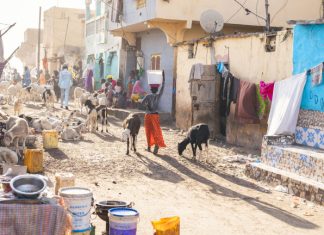 LA BANQUE MONDIALE SUR LA PAUVRETE AU SENEGAL : Les zones rurales abritent 80 % de la population des ménages vulnérables