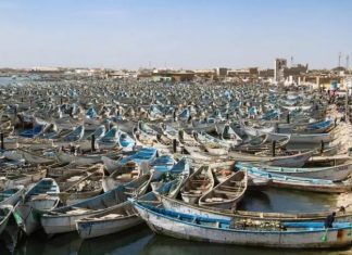 PECHE : La Mauritanie autorise le Sénégal la capture de 50 000 tonnes de poissons dans ses eaux maritimes
