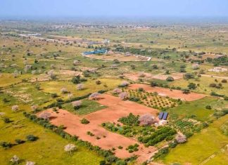 POUR LA REALISATION DE L’AGROPOLE NORD : La BAD accorde un financement de près de 87 millions d’euros au Sénégal