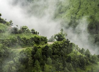 PARTENARIAT FAO-FONDS VERT POUR LE CLIMAT : 1,2 milliard d’USD de financement pour les pays en développement