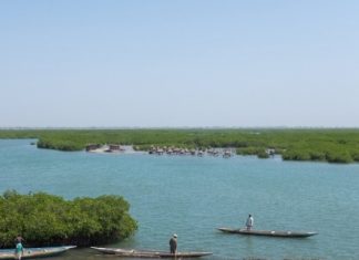 AIRES MARINES PROTEGEES DE L’AFRIQUE DE L’OUEST : Vers une harmonisation des politiques avec une stratégie régionale