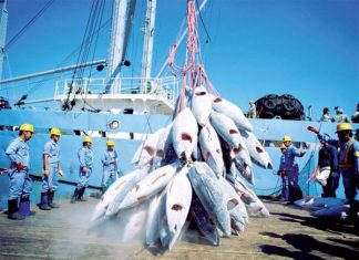 NAVIRES AUTORISES A PECHER AU SENEGAL : 19 bateaux étrangers à l’assaut des eaux sénégalaises depuis le 2 mai 2024