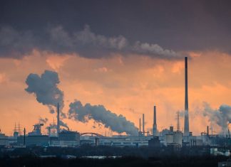 REDUCTION DES EMISSIONS DE GAZ A EFFET DE SERRE SELON LA BANQUE MONDIALE : Les investissements devront augmenter de 260 milliards de dollars par an d’ici 2030