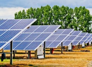 Perspectives des marchés de produits énergétiques dans le monde : La Banque Mondiale prévoit une baisse de 4% du prix en 2025