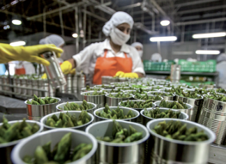Agro-industrie : La Banque mondiale annonce le doublement de ses financements dans ce secteur