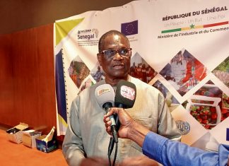 Programme de résilience et de relance micro-entreprises et des PME au Sénégal : Cinq projets innovants sélectionnés