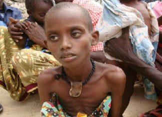 Selon un rapport des Nations Unies : La faim recule à l’échelle mondiale, mais augmente en Afrique et en Asie de l’Ouest