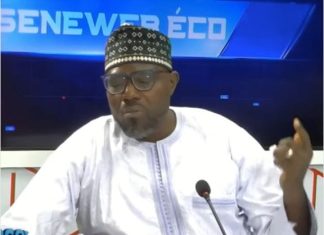 Baisse des investissements directs étrangers (IDE) au Sénégal : un catalyseur de la transformation structurelle de l’État dans le cadre de la Vision Sénégal 2050