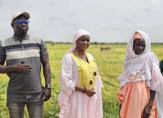 Le programme « une femme, un métier » de 2AP/SIGGI JOTNA : Mame Séne matérialise l’initiative de son leader Abdoulaye Dièye