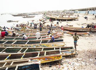 COMMUNAUTÉS DES PÊCHEURS AFFECTÉES PAR LE PROJET GTA : L’ONG SynDev appelle à réparer les préjudices subis