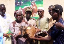 Élevage caprin à Aéré Lao : La Haute Autorité du Waqf et l’ONG Heifer remettent les premières chèvres du projet WAPEC