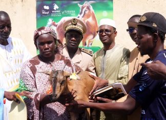 Élevage caprin à Aéré Lao : La Haute Autorité du Waqf et l’ONG Heifer remettent les premières chèvres du projet WAPEC