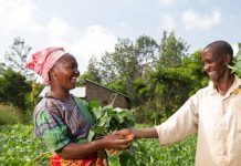 Stratégie régionale de stockage de sécurité alimentaire : La Cédéao engage la révision